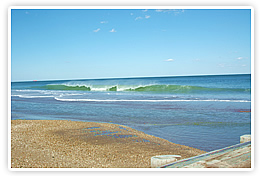 Delaware Shore Properties